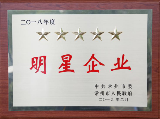 常寶股份榮獲“工業(yè)五星級企業(yè)”、“納稅金獎”等多項大獎156.png